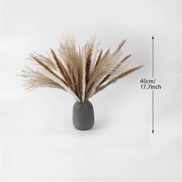 Pampasgræs Tørret Dekoration Til Stuen Og Soveværelset Tørret Blomsterbuket Fluffy Moderne An