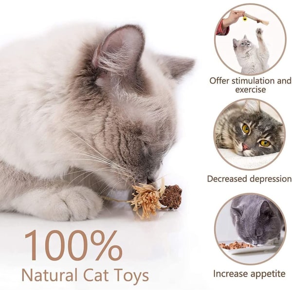 4 st katttuggleksaker, kattmynteleksaker för rengöring av kattungens tänder, interaktiva kattleksaker för innekatter