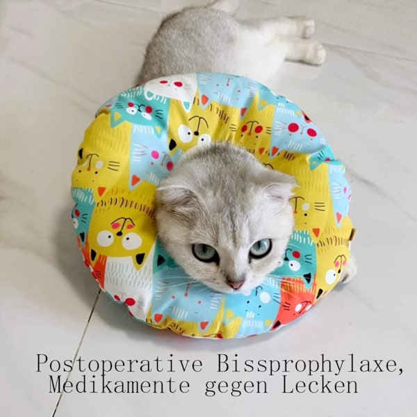 AvoDovA Katt Skyddskrage, Katt Halsband, Mjuk, Katt Återhämtningskrage, Husdjur Skyddskrage, Justerbar Skydds Bomullsring, Skyddande för Katt