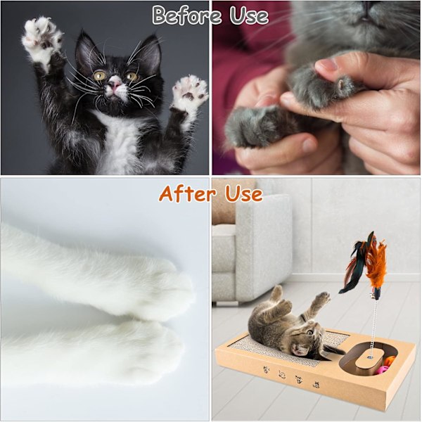 Katt Repbräda Kartong Katt Repkort Hög Kvalitet Repkort Textur Design Hållbar Katt Repkort