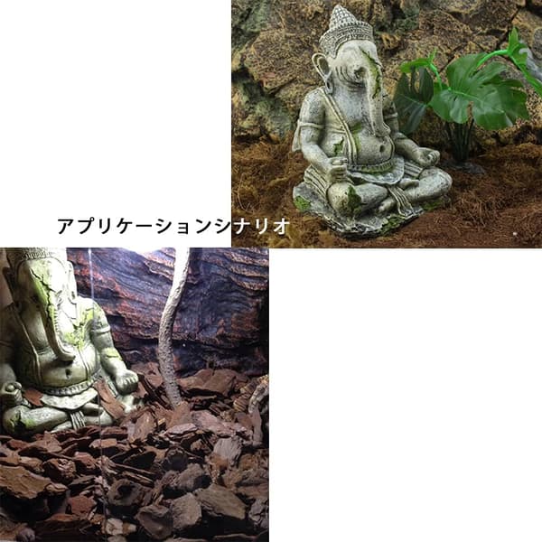 Ganesh Buddha Akvaarion Koriste