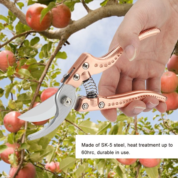 Trädgårdssax, precisionsslipat stålblad ergonomiskt halkfritt grepp, för att klippa grenar från växter och blommor i trädgården