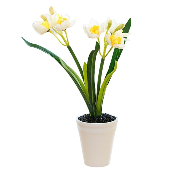Topp-blomstrete påskelilje liten bonsai kreativ pynt simulering