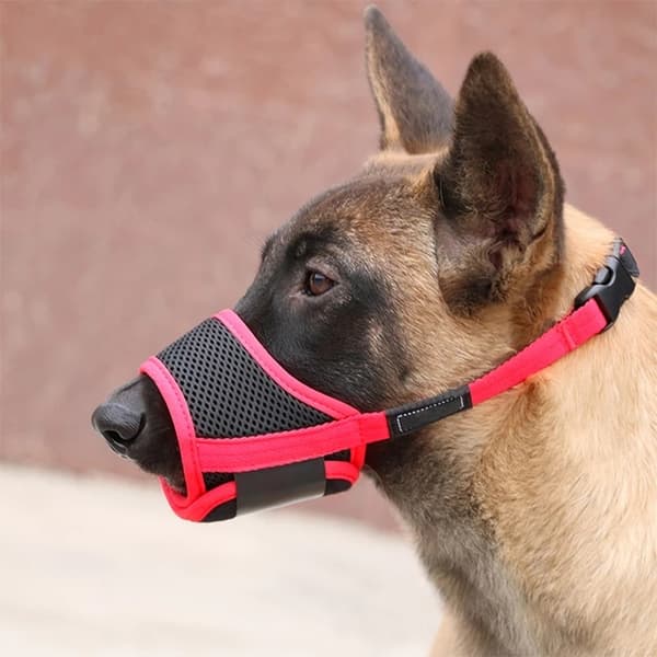 Hundmunstycke i Nylon, Justerbart och Andningsbart