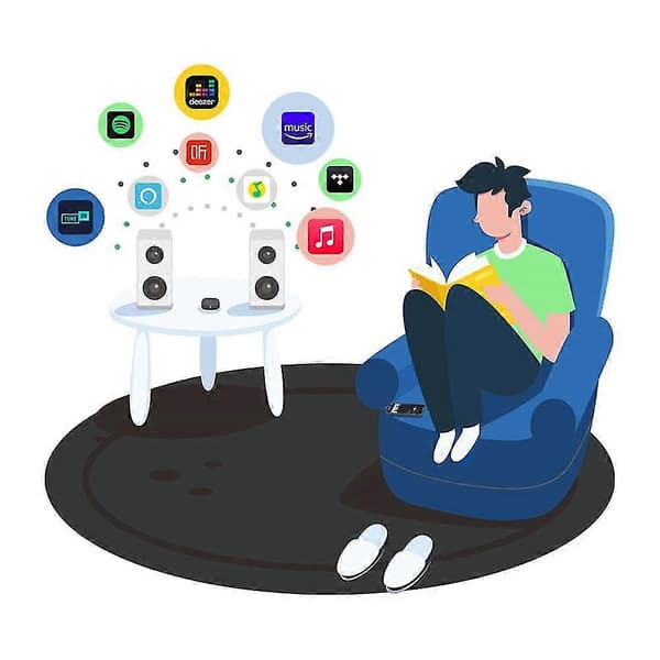 Trådløs Wifi 2 4g/5g & Bluetooth 5.0 Audio Mottaker Musikkspiller Multirom Push System Støtter A