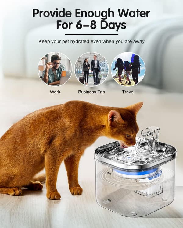 Katt Vattendispenser, 2l 304 Rostfritt Stål Katt Vattenskål