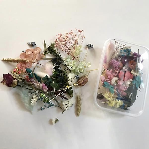 1 æske tørret blomst letvægts tilfældig stil tørret blomst smukke tørrede blomster til håndlavede stearinlys