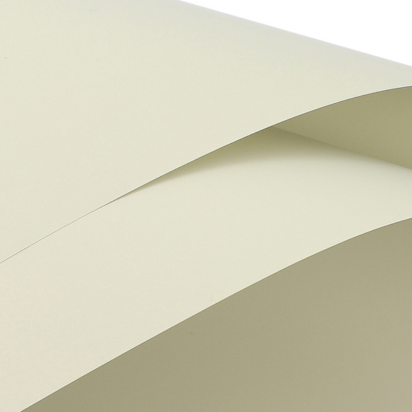 20 ark blomsteromslagspapper blombukett presentförpackning Su