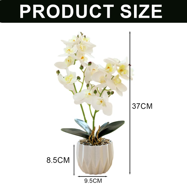 3D-utskriftsfilm dubbel gaffel phalaenopsis bonsai hem
