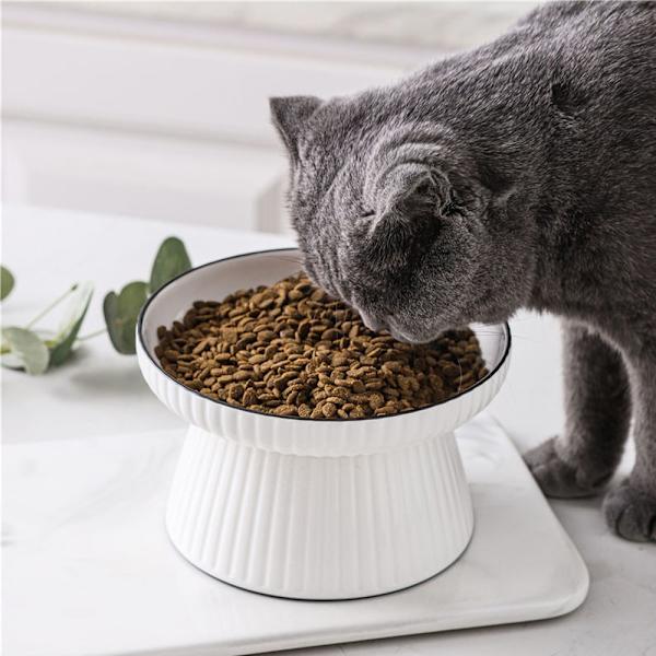 Katt Keramisk Skål-Stor Vertikal Mönster Katt Skål (Fotsteg)