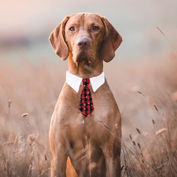 Kæledyrsslips Hundeslips Justerbart Kostume Hundehalsbånd Slips Festtilbehør Julekostume M