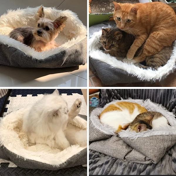 Självvärmd kattmadrass för katter och valpar, 2 i 1 mjuk plysch med halkfri botten, tvättbar husdjursmatta höst vinter inomhus snooze