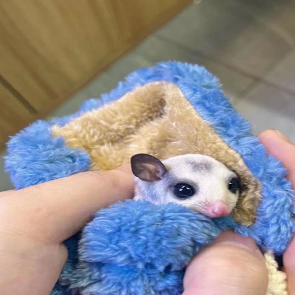 Liten husdjurssovsäck mjuk andningsbar bekväm mini sockerglidare sovpåse för hamster smådjur blå