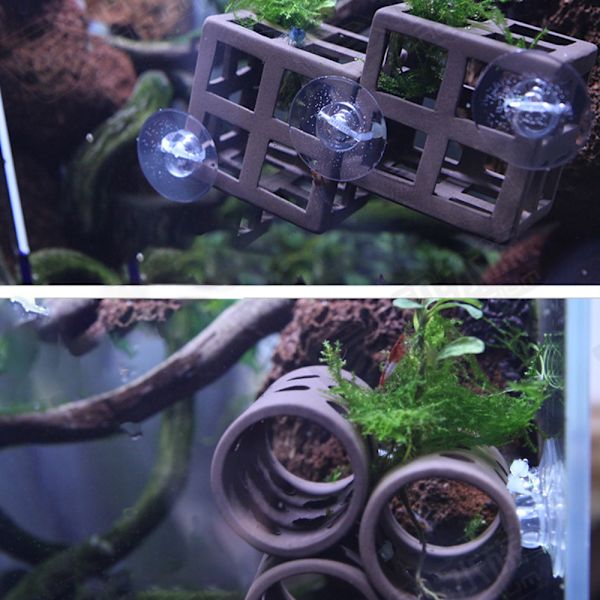 Akvarie sugkoppar   Fisk tank sugkoppar Akvarie sugkoppsklämma sugkrokar med justerbara kabelband för växter, planteringsmaskin, bindande mossa