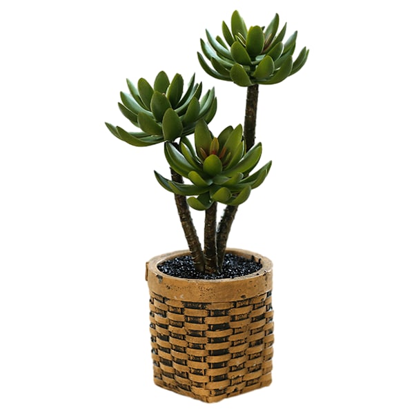 Konstgjorda suckulenter, bonsai, kreativa heminredningsartiklar,