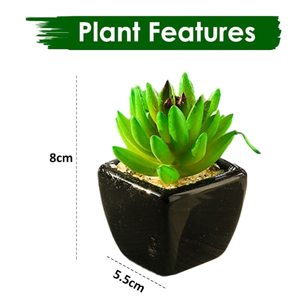 4 kpl mini-simuloituja mehikasveja bonsai luovia koristeita