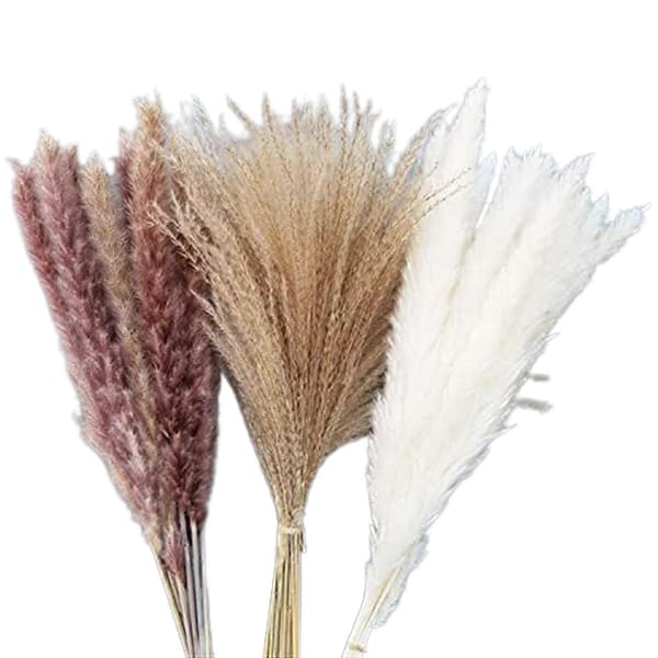 Pampasgræs Tørret Dekoration Til Stuen Og Soveværelset Tørret Blomsterbuket Fluffy Moderne An