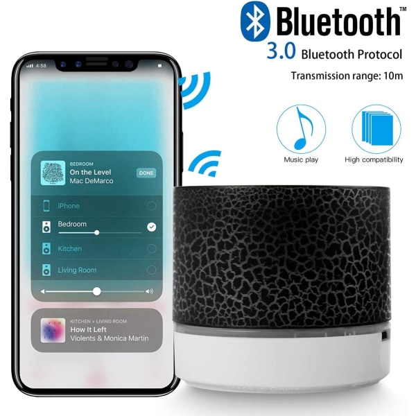 Bärbar trådlös Bluetooth högtalare med inbyggd mikrofon, handsfree