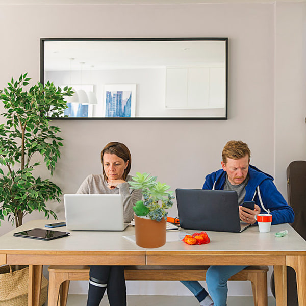 2 kpl simuloituja mehikasveja yhdistelmä bonsai luova