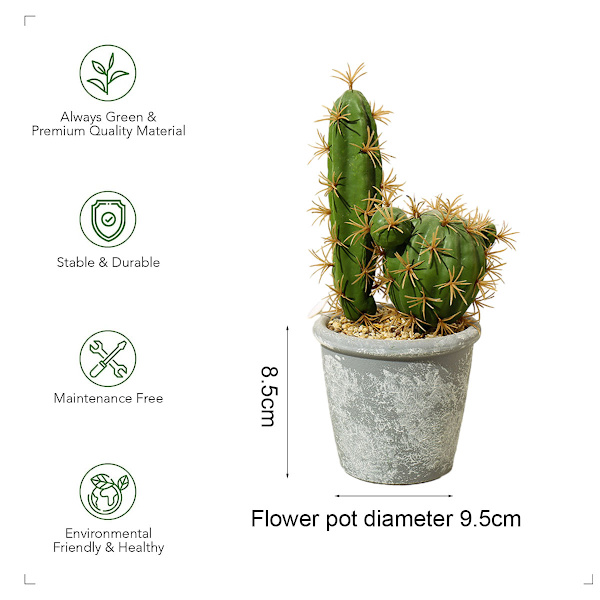 Tropiske planter potteplanter med potter kreative ornamenter