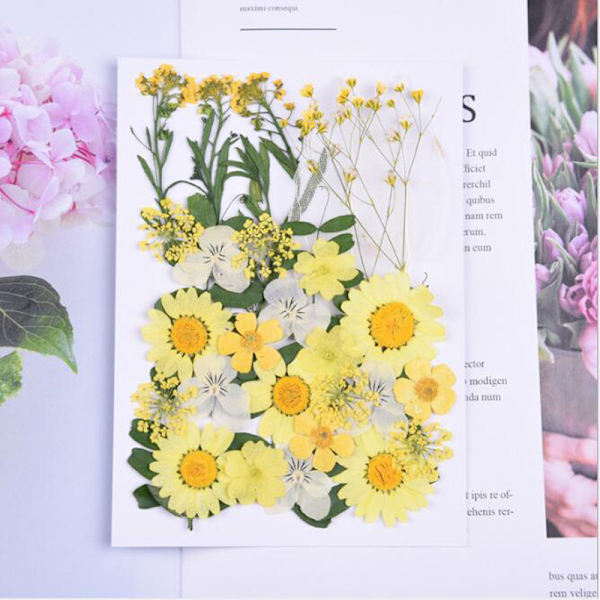 Naturlige Tørrede Blomster Pressede Blomster Blandede Tørrede Blade Blandet M
