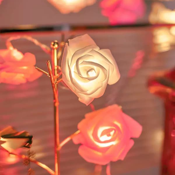 LED Rosen Lys Kæde, 6m 40 LED USB Dekorationslys til Fødselsdag