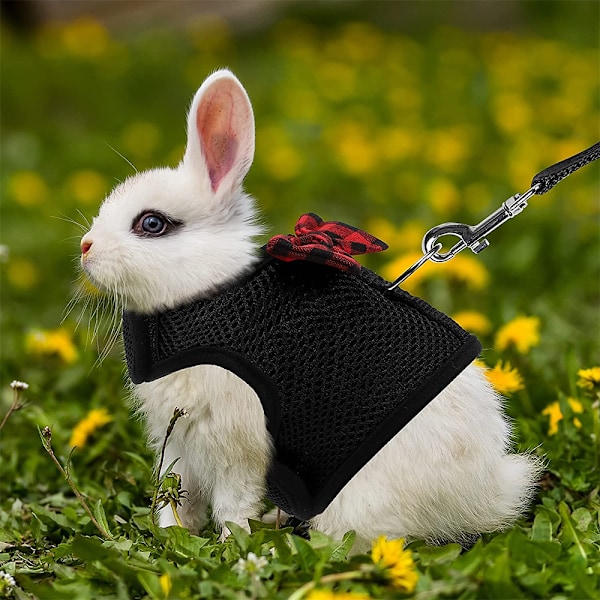 Guinea Pig Sele och Koppel Mjuk Mesh Liten Husdjur Sele med