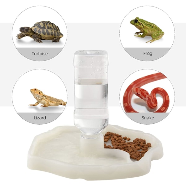 Sköldpadda Vatten Skål Mat Skål Sköldpadda Reptil Mat Skål Vatten Skål Automatisk Matare Plast Drick Skål Ödla
