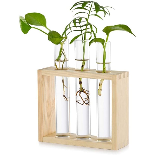 Väggmonterad glasvas för växtförökning, modern design, 3 provrör