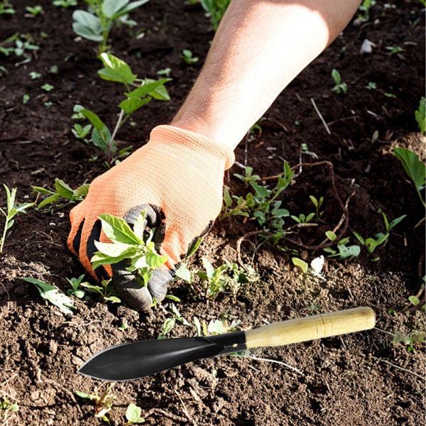 Rustfrit Stål Spade Havegreb Skeer til Omplantning, Gravning, Plantning