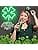Lysende Irsk Firekløver St. Patricks Dag Vindu Silhuett