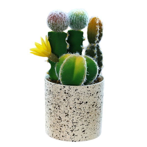 Falsk blomma tropisk växt kaktus bonsai kreativ dekoration