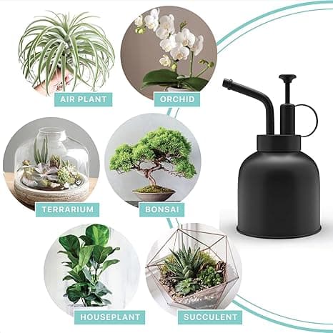 Sprayflaske Vannkanne i rustfritt stål for innendørsplanter Bonsai