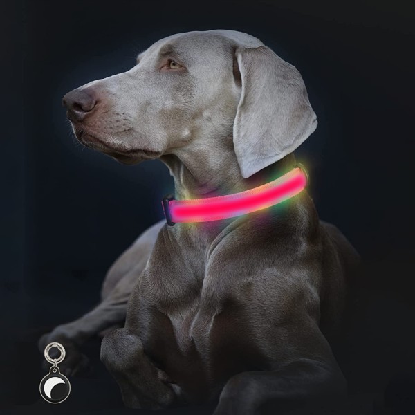 Ljus upp hundhalsband lampor för natt Clip On LED hundhalsband