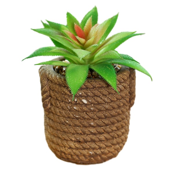 Simuleret Sukkulenter Stor Bonsai Mode Kreativ