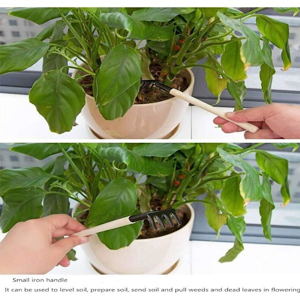 Bonsai Verktygssats För Grävning, Högkvalitativ Metall Och Hållbart Hårdträ Mini Trädgårdsredskapsset Om Tre Delar Idealisk För Odling Och Ogräsrensning
