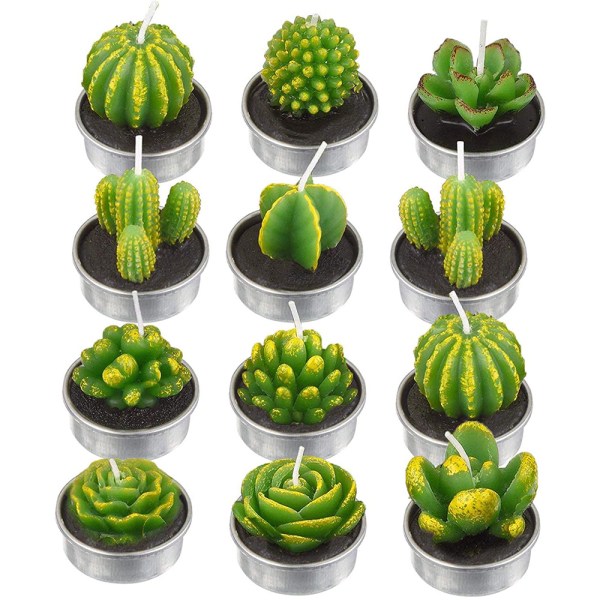 12 kaktusljus, konstgjorda växtsuckulentljus, Valentine