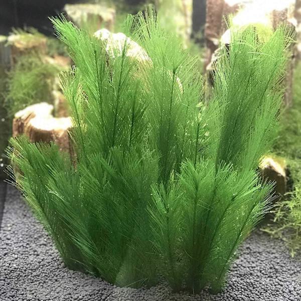 Konstgjorda sidenväxter - Tillverkade av plast - Giftfria och säkra för alla fiskar och husdjur.