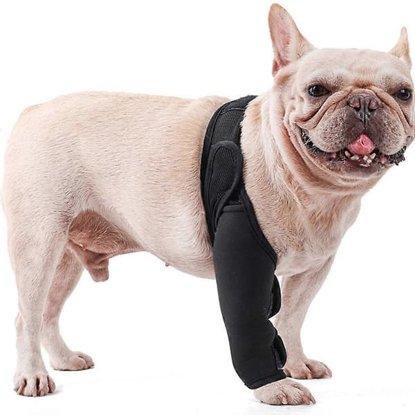 Hundebeinbeskytter for forben Hundebeskyttelse for ben Hundebeskyttelse for ben Hundebeskyttelse for bakben