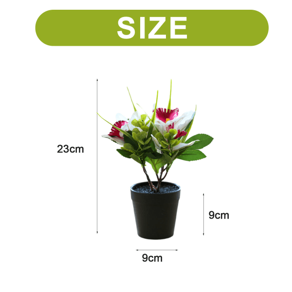 Tekokukka kolmipäinen cymbidium pieni bonsai luova