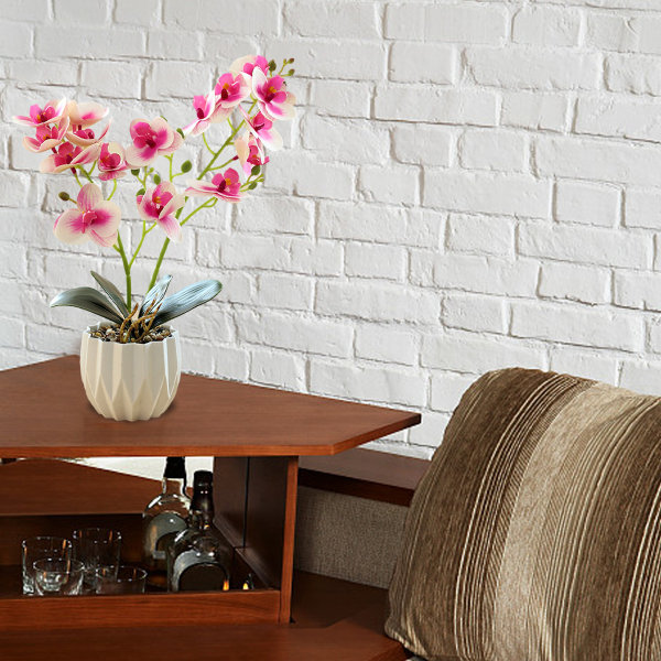3D-utskriftsfilm dubbel gaffel phalaenopsis bonsai hem