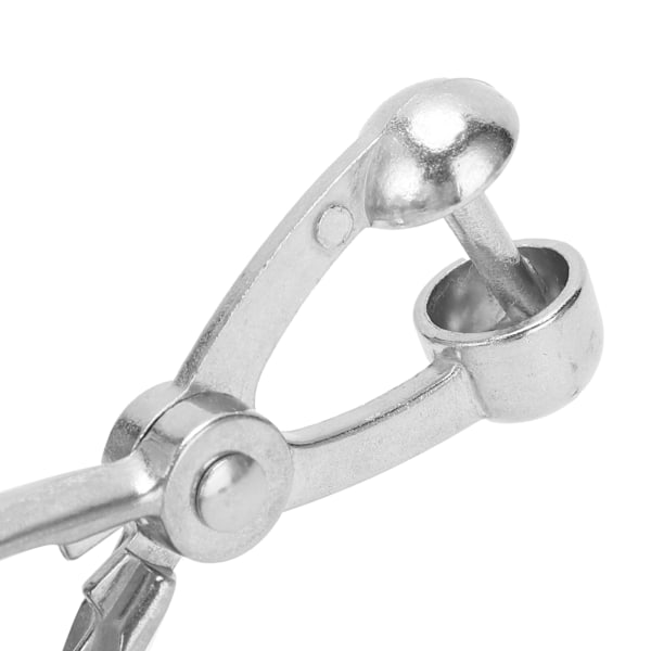 Kärnplockare i aluminiumlegering, olivkärnremover, handhållen avlägsnandeverktyg, köksredskap