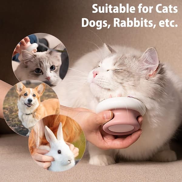 Katt- och hundmassageborste, pälsvårdskam, badborste, säker för y
