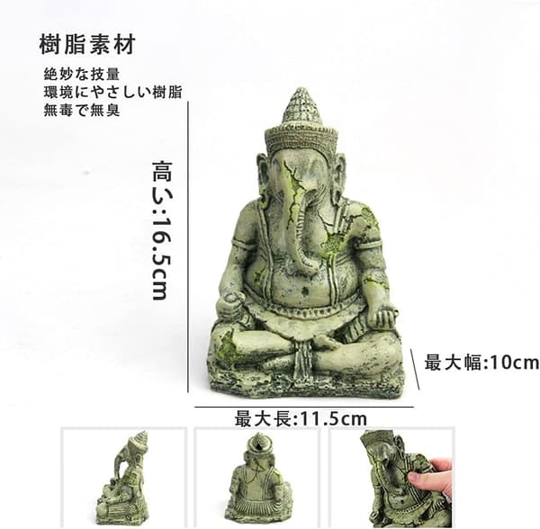 Ganesh Buddha Akvaarion Koriste