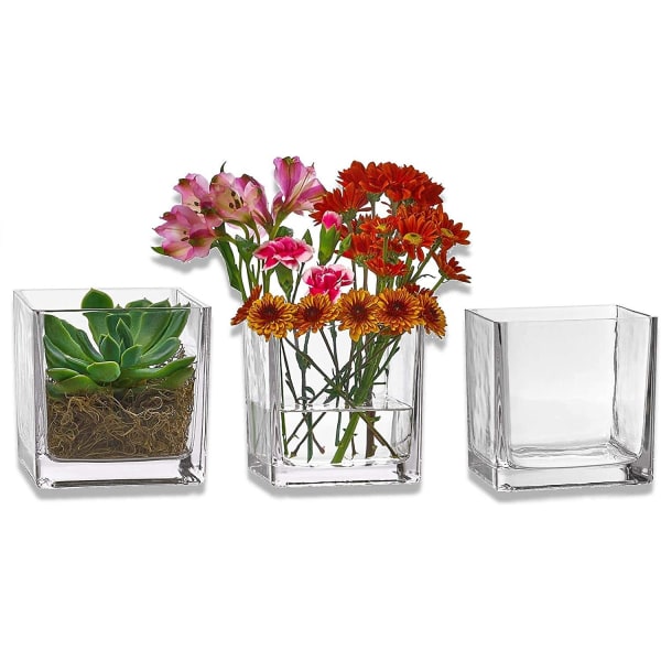 Sett med 3 Glasskvadratiske Vaser 5 x 5 tommer – Klar Kubeform Blomst