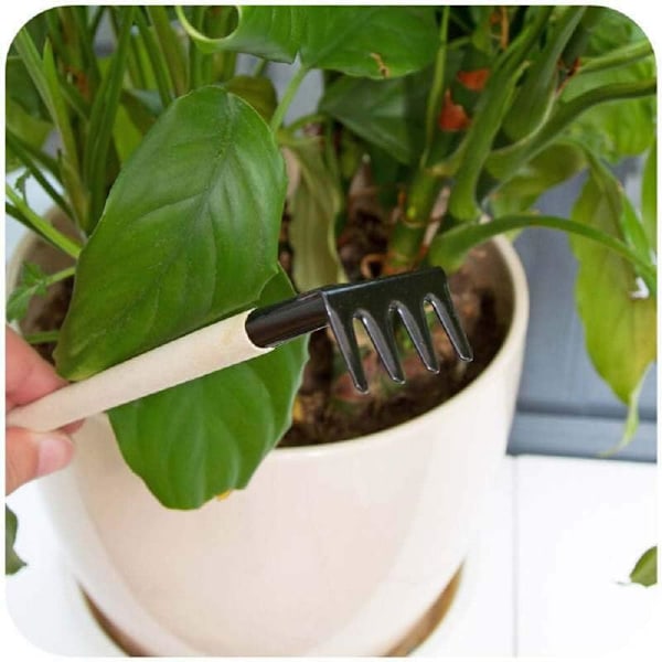 Bonsai Verktygssats För Grävning, Högkvalitativ Metall Och Hållbart Hårdträ Mini Trädgårdsredskapsset Om Tre Delar Idealisk För Odling Och Ogräsrensning