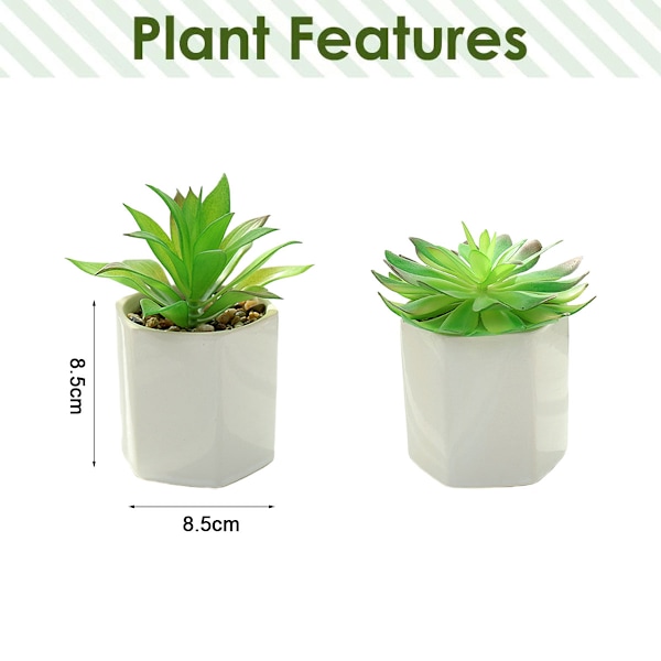 2 st stora multivinkelkrukor simulerade suckulenter bonsai