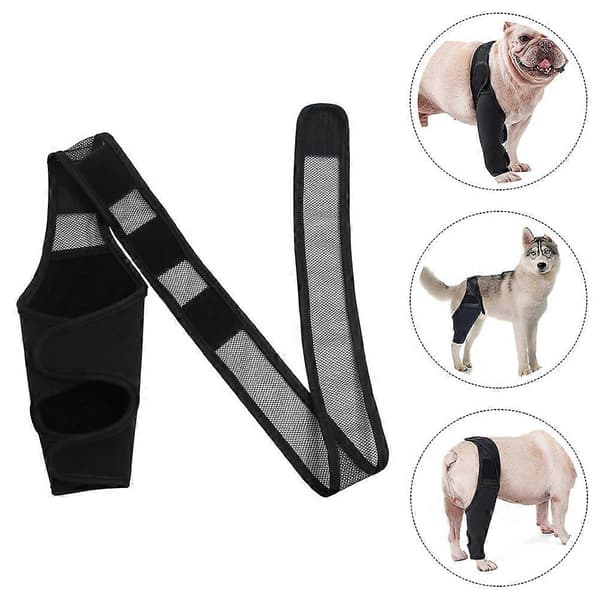 Hundebeinbeskytter for forben Hundebeskyttelse for ben Hundebeskyttelse for ben Hundebeskyttelse for bakben