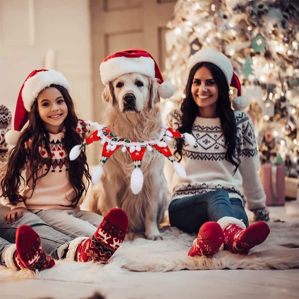 Kæledyrs julepynt Hundehalsbånd til hunde katte kæledyr