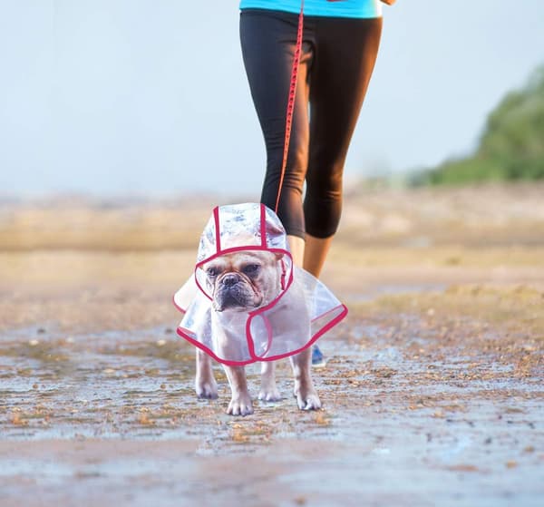 Vand- og vindtæt poncho til hund og hvalp Størrelse M (pink)